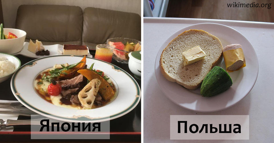 Вот как выглядит больничная еда в разных странах мира