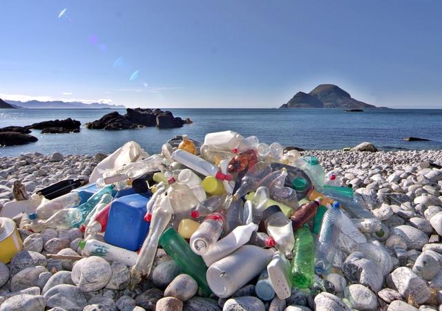 Канада тоже запрещает одноразовый пластик