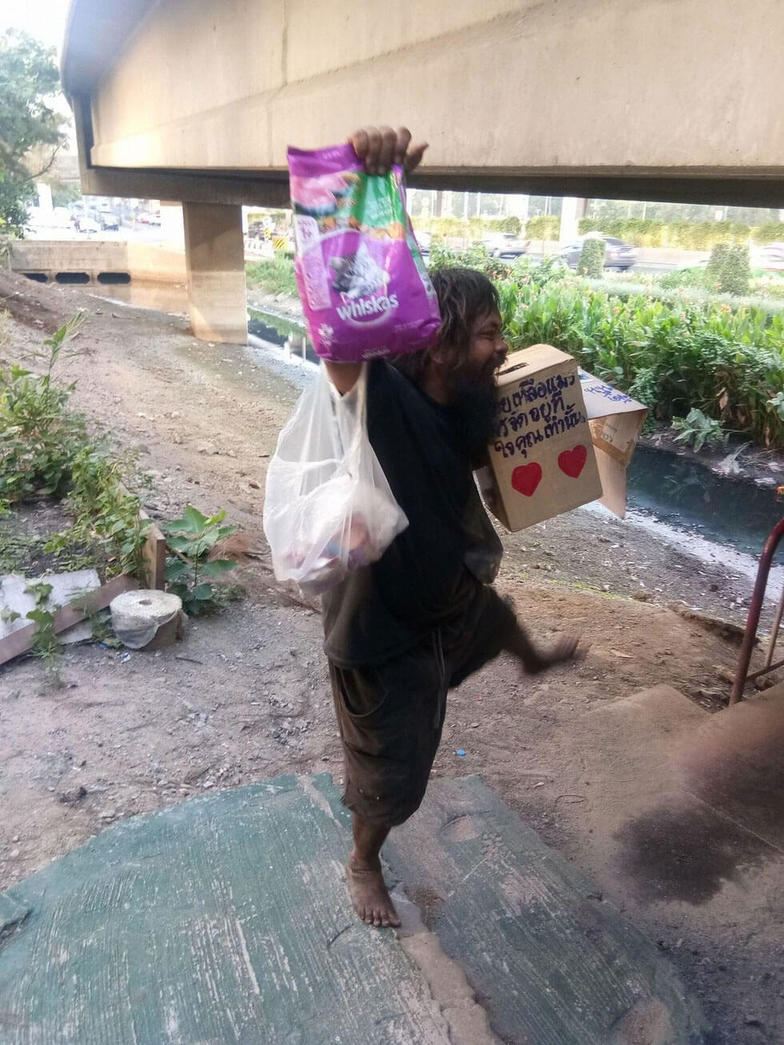 Бездомный каждый день покупал еду кошкам - и вдохновил весь мир