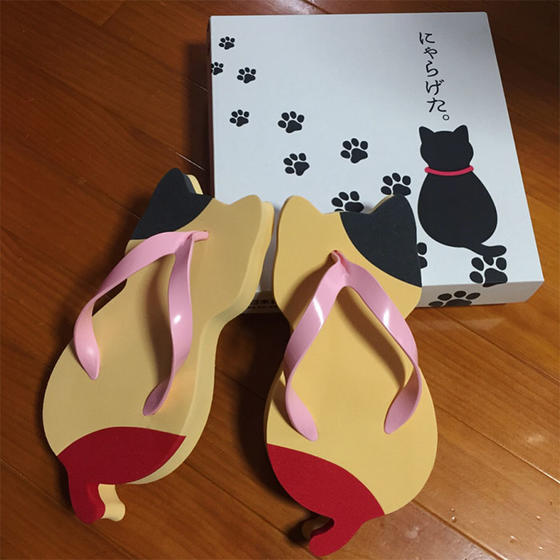 Эти кошачьи сандалии могли сделать только японцы. Вы только посмотрите...