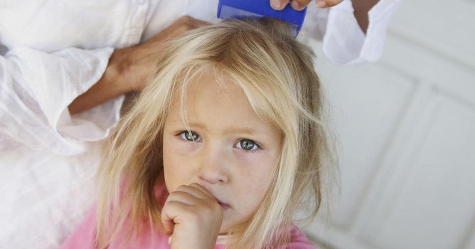 Как избавить ребенка от вшей: секрет, о котором вам не рассказывают врачи