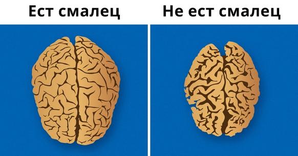 12 продуктов, которые могут оказать странное влияние на вашу психику