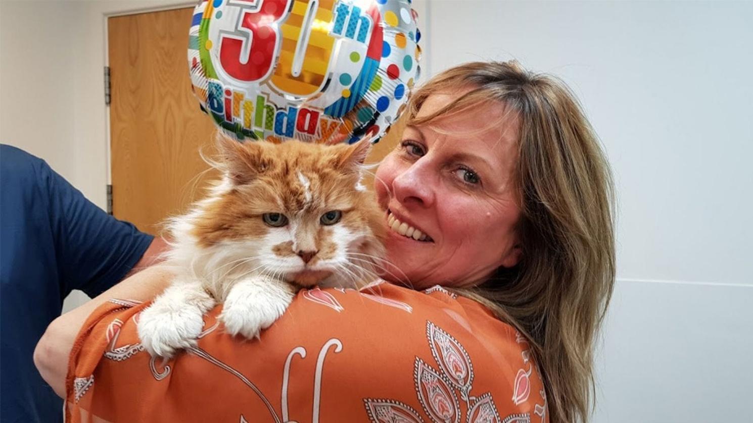 Самый старый живой кот в мире празднует свое 30-летие