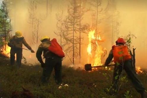 Из-за пожаров в Сибири может наступить глобальная катастрофа! Вот почему
