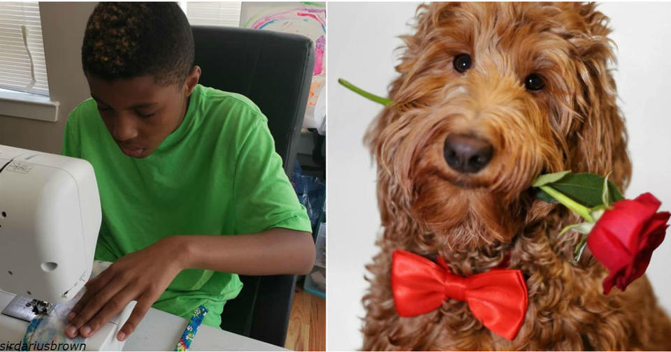 12 летний малыш делает галстуки для собак, чтобы помочь им обрести дом