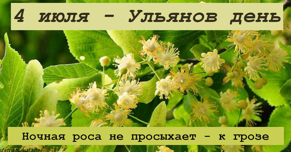 4 июля – Ульянов день. Вот на что надо обратить внимание