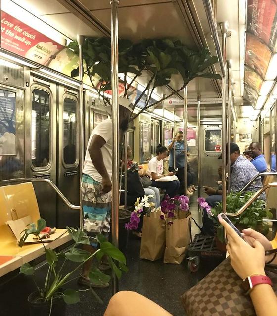 30 странных и забавных вещей, которые кто-то увидел в метро