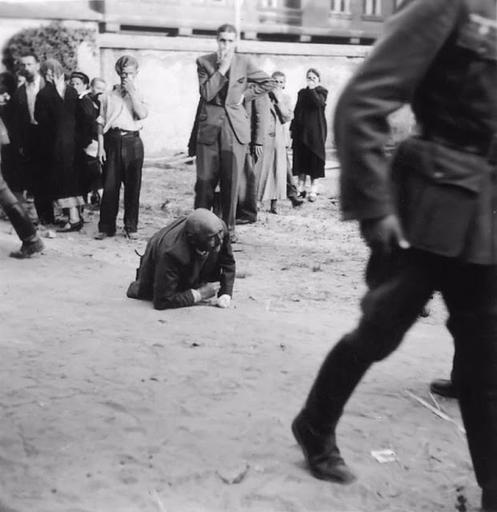 30 шокирующих фотографий львовских погромов 1941 года