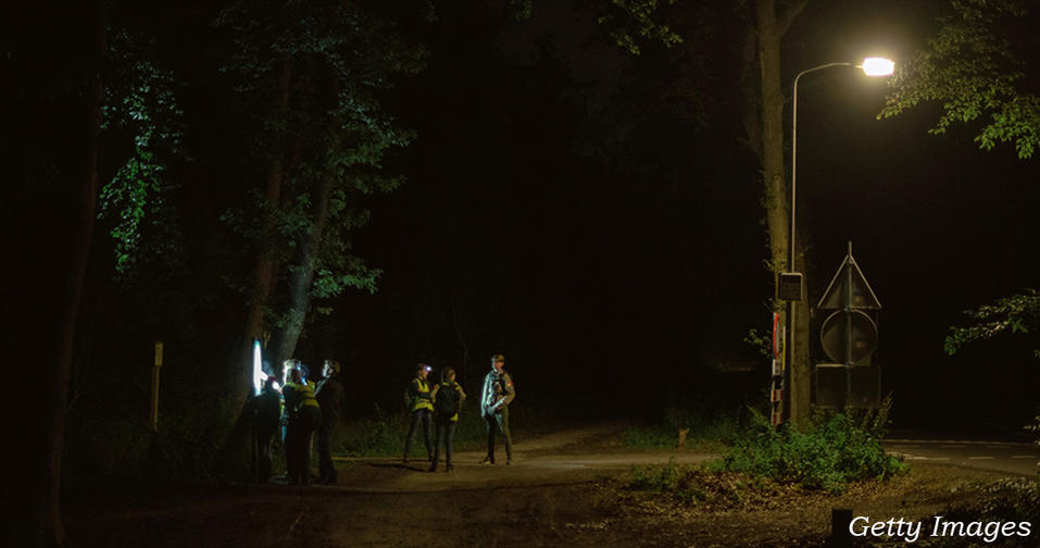 Почему в Голландии родители бросают детей на ночь в лесу