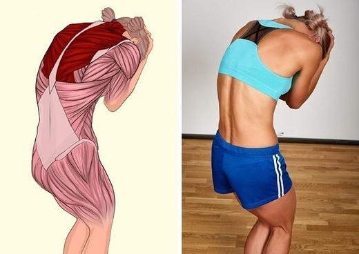15 картинок о том, растяжка каких мышц нам нужна сильнее всего