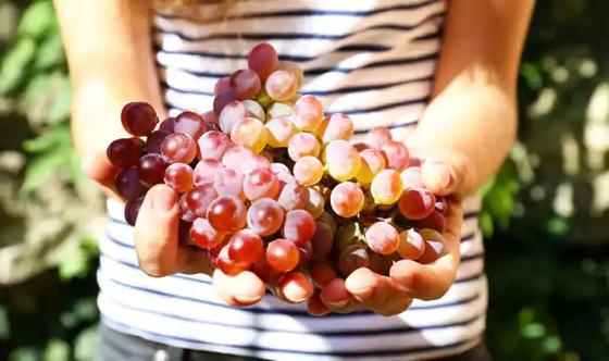 7 вещей, которые произойдут с вашим телом, если завтра вы начнёте налегать на виноград