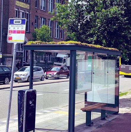 Нидерланды превращают остановки в цветочные клумбы. Вот зачем они это делают