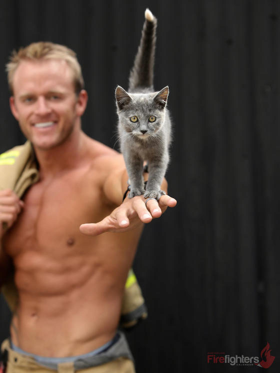 Австралийские пожарные сфоткались для календаря вместе с животными, которых они спасли