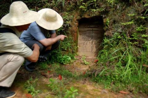 Старый китайский фермер обнаружил бесценное сокровище в комнате, где годами хранил картофель