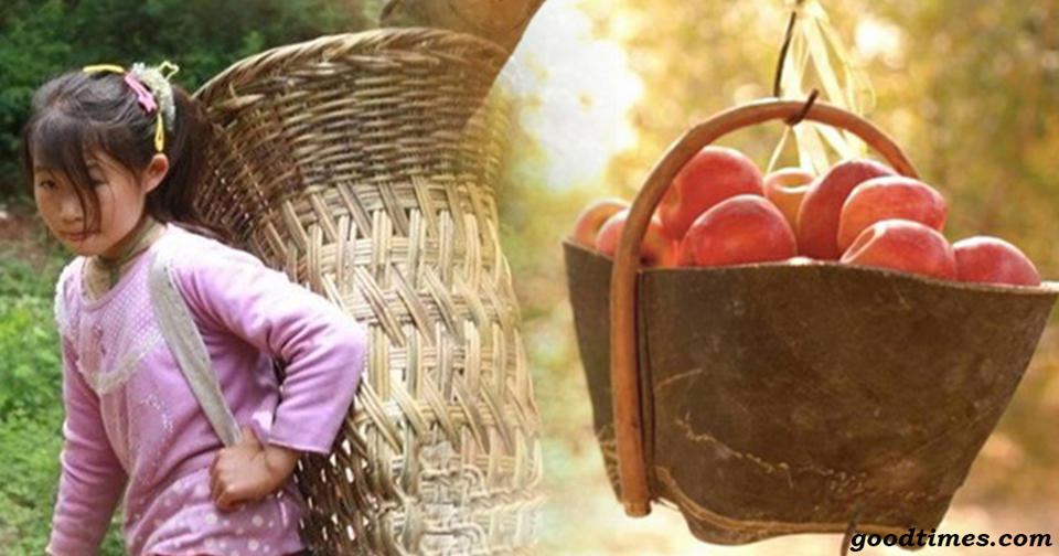 Трогательная история девочки, которая продавала яблоки по завышенной цене