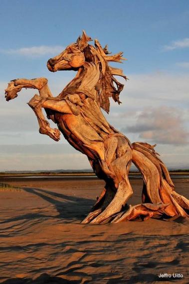15 удивительных скульптур из дерева, которые вот-вот оживут