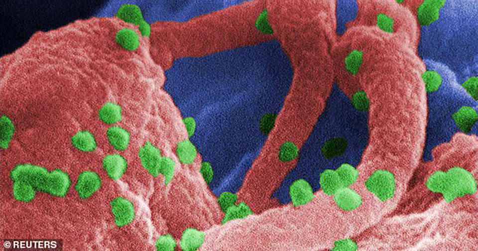 Ученые впервые в истории уничтожают ВИЧ во всем геноме лабораторных мышей