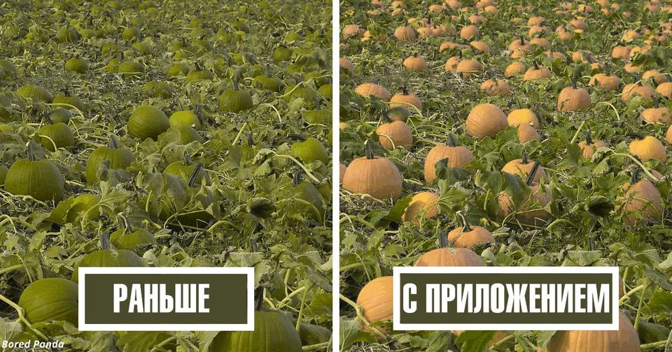 Парень дальтоник сделал программу, которая поможет таким, как он, снова видеть цвета!