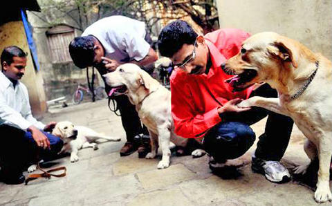 Занджир: собака, которая спасла тысячи жизней при взрывах в Мумбаи в 1993 году