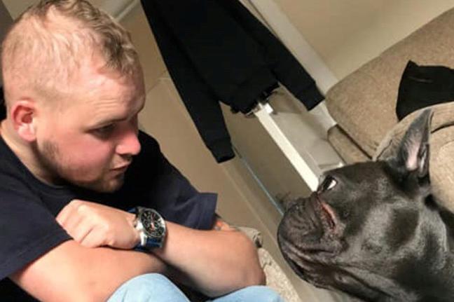Собака умерла через 15 минут после того, как её хозяин проиграл свою битву с раком