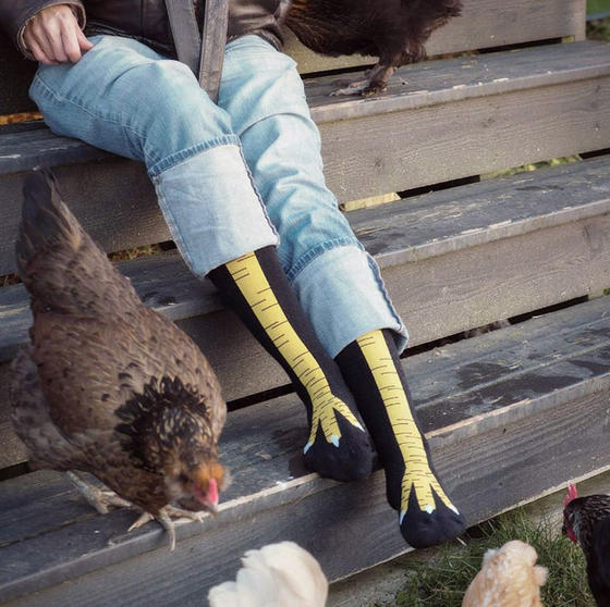 В моду быстро входят вот такие ″куриные″ носки. Смогли бы такое носить?