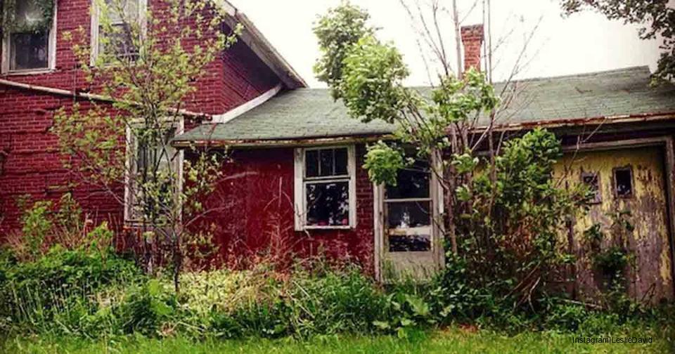 Фотограф нашла заброшенный дом в лесу, зашла внутрь   и просто ахнула от увиденного