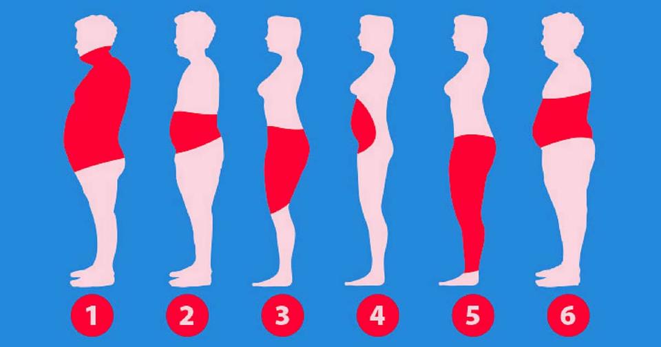 6 типов жира в организме - и как избавиться от каждого из них