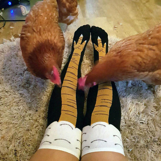 В моду быстро входят вот такие ″куриные″ носки. Смогли бы такое носить?