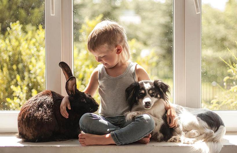 Не покупать животных: психолог рассказал, как привить ребенку любовь к братьям нашим меньшим