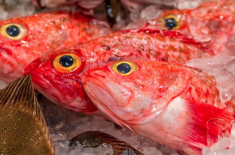 Специалисты рассказали, что самая полезная рыба - та, в которой содержится омега-3. Как выбирать такую