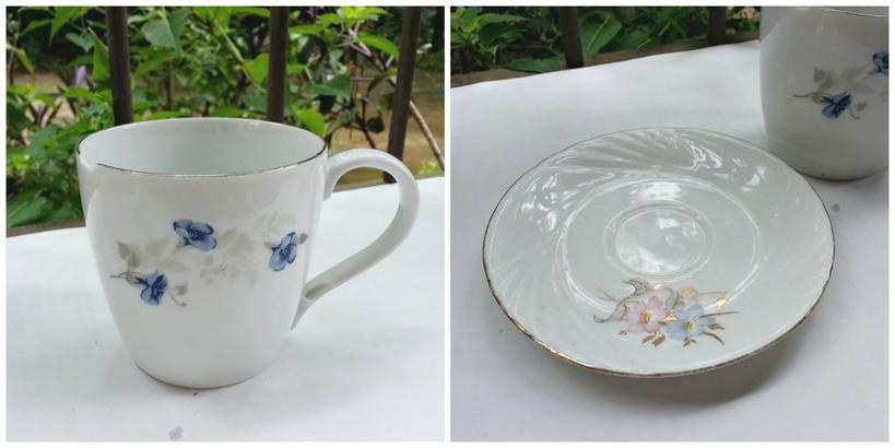 Дочь любит делать милые вещи для дома: недавно у нее получился чудесный маленький сад в чайной кружке
