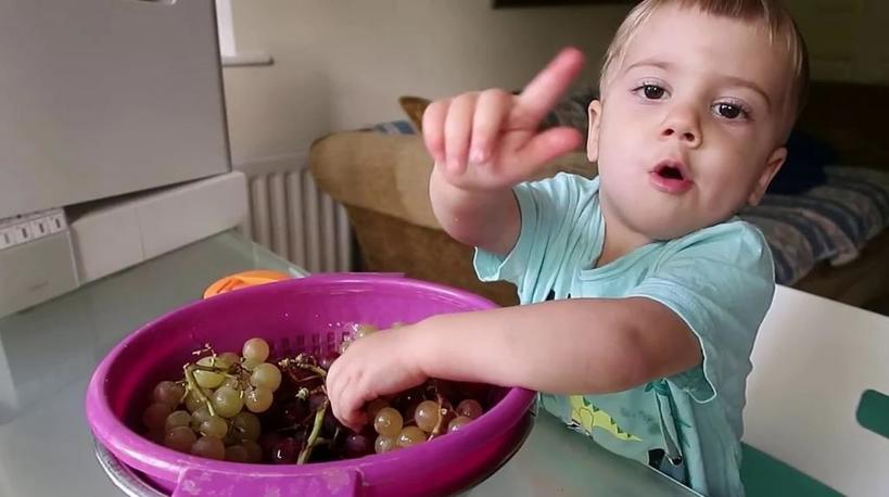 Консервированные фрукты, шпинат, свекла: с каких фруктов, овощей и злаков нельзя начинать прикорм ребенка