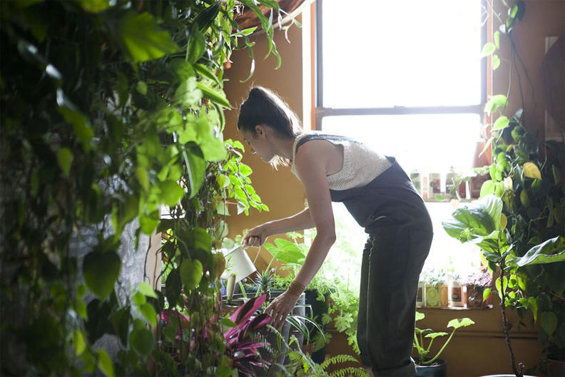 Молодая девушка на своем примере показала, что в квартире можно вырастить 700 растений