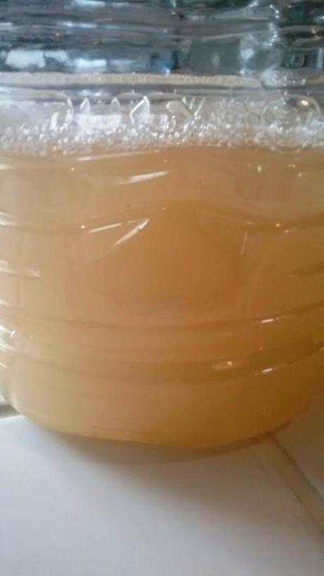 Чистый витамин: простой рецепт домашнего имбирного пива с лимоном для тонуса и утоления жажды