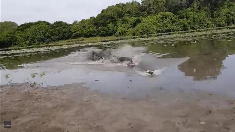 Парень думал, что поймал одну огромную рыбу. Но барракуда была не одна (видео)