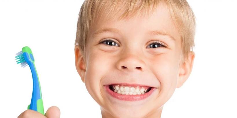 Сначала давать просто щетку без зубной пасты: как научить ребенка чистить зубы