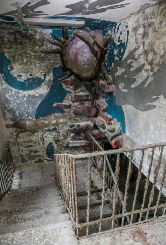 Пионерлагерь «Сказка»: заброшенное место в Подмосковье, где можно снимать фильмы ужасов (фото)