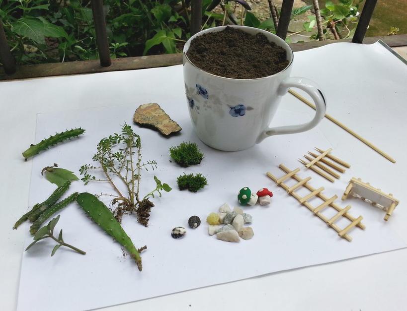 Дочь любит делать милые вещи для дома: недавно у нее получился чудесный маленький сад в чайной кружке