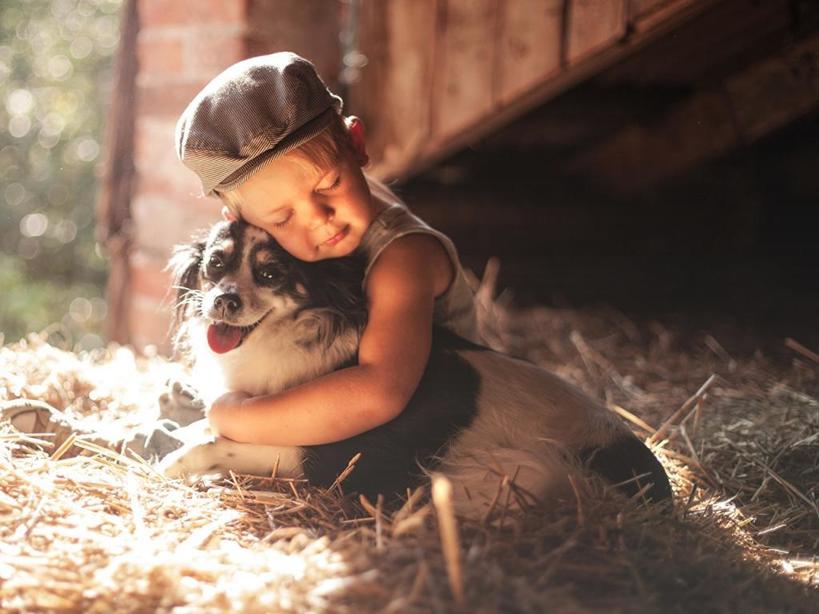 Не покупать животных: психолог рассказал, как привить ребенку любовь к братьям нашим меньшим