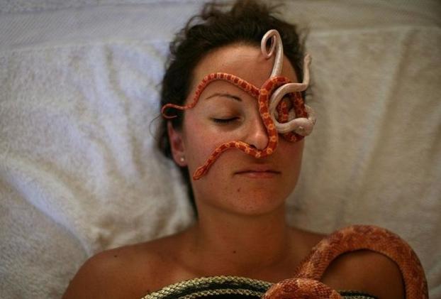 В Израиле есть спа-салон, который предлагает массаж змеями: местным жителям нравится эта процедура