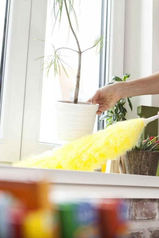 Грубые ошибки в уборке, от которых ваш дом становится еще грязнее: неочищенный фильтр пылесоса и другое