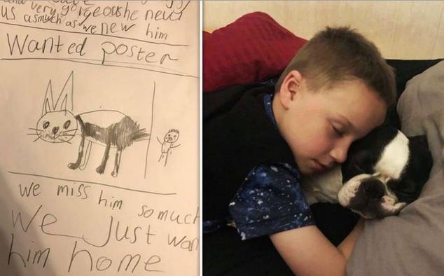 У мальчика украли собаку: 7-летний малыш как смог нарисовал плакат «Разыскивается»
