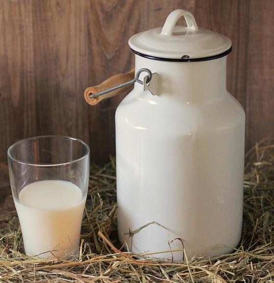 5 преимуществ козьего молока перед молочными смесями