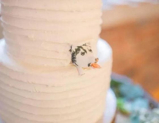 Пара попросила украсить свадебный торт изображением своей собаки. Гости долго смеялись, увидев результат