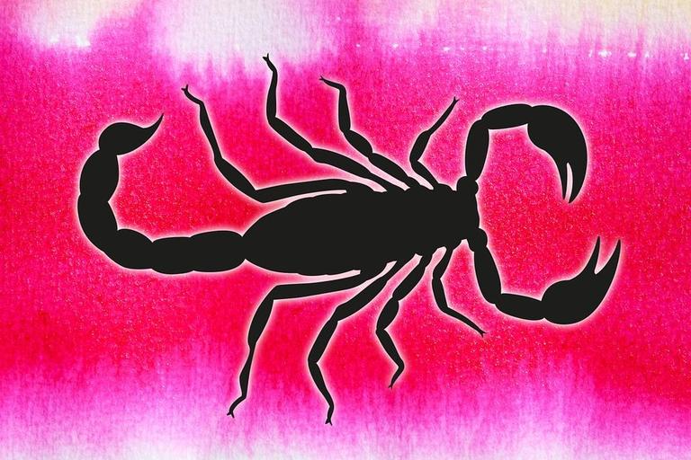 Скорпионы в вашей жизни: 9 причин, почему вы должны оценить их по достоинству