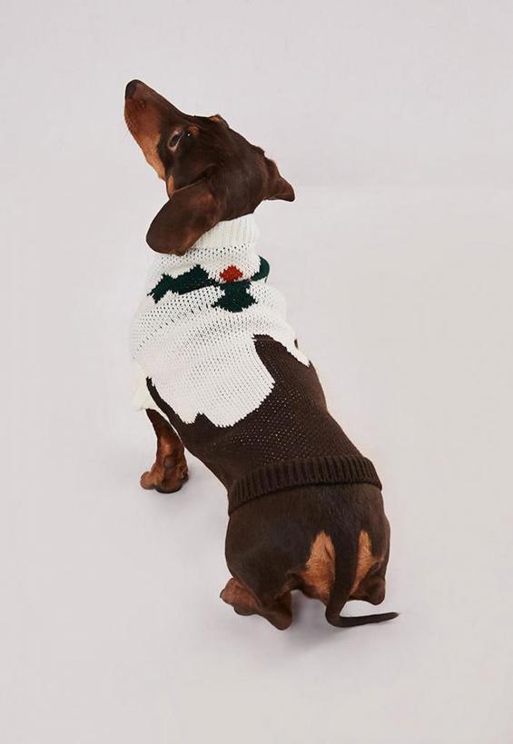 Дизайнеры предлагают хозяевам и их собакам надеть одинаковые свитера (фото)