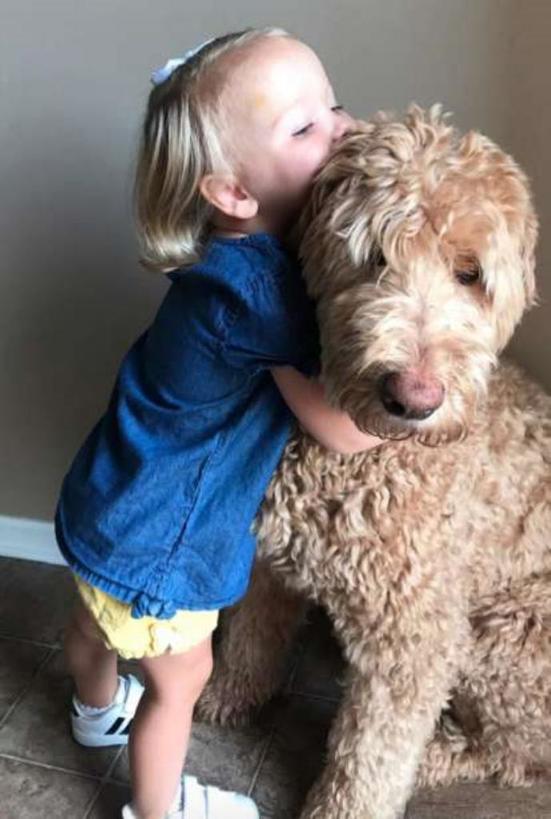 Девочка с помощью своей любимой собаки воссоздала сказку:  Красавица и чудовище . Получились милые и приятные фотографии