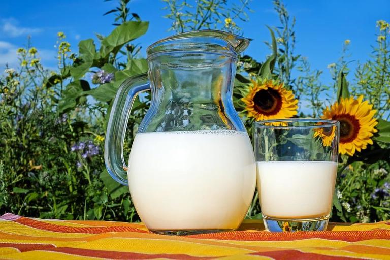 5 преимуществ козьего молока перед молочными смесями