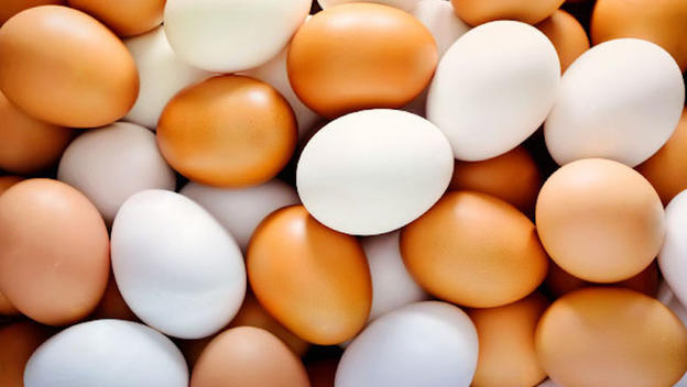 Просроченные яйца: безопасно ли их употреблять в пищу