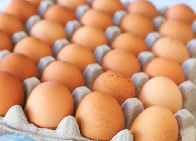 Просроченные яйца: безопасно ли их употреблять в пищу